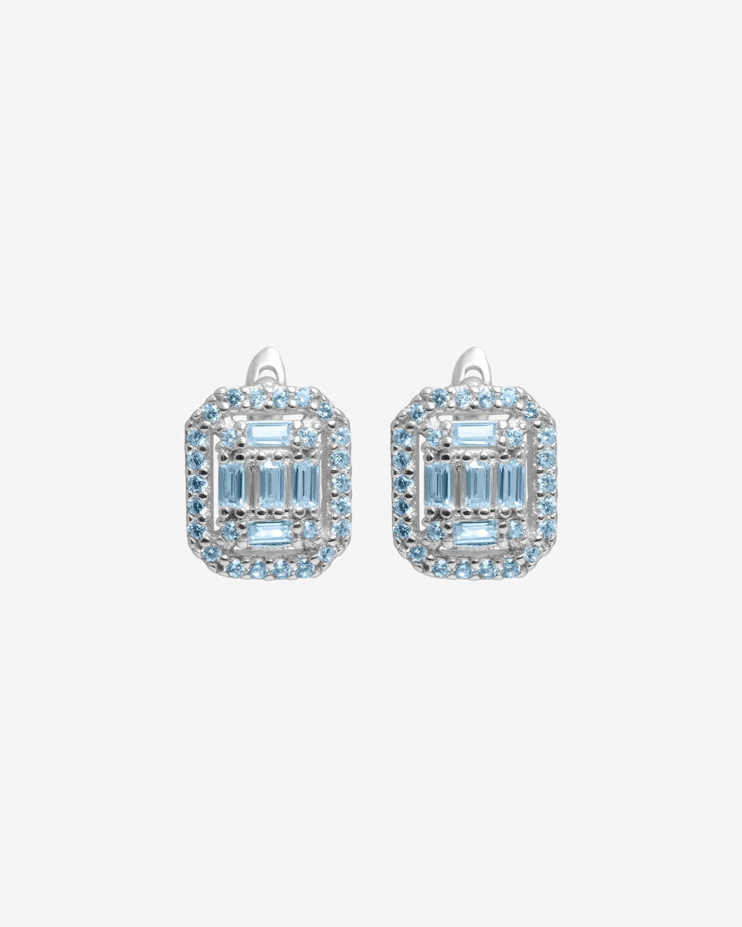Antarctic Gates Earrings