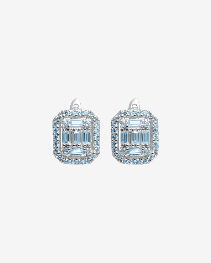 Antarctic Gates Earrings