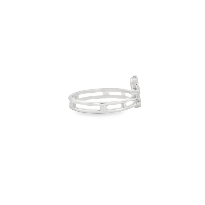 Solar Eclipse Double Ring