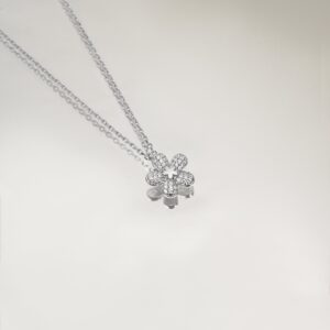 Silver Spring Flower